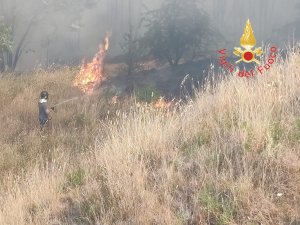 Crotonese accerchiato dalla fiamme: canile a rischio in localita&#039; Martorana