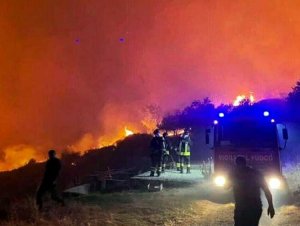 Danni incendi, Consiglio dei ministri dichiara lo stato d&#039;emergenza per la Calabria