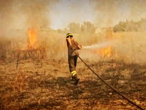 La Calabria brucia: oltre 70 incendi in mattinata, riforzi dei Vvf da fuori regione